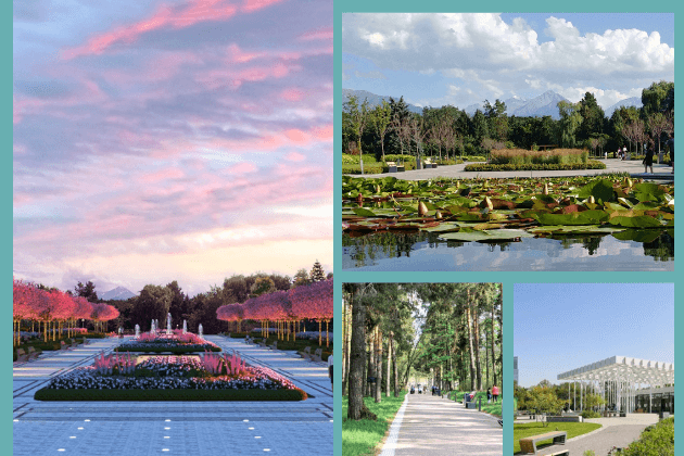 Ботанический сад в Алматы