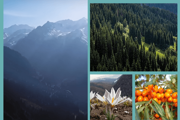 Пейзажи Иле-Алатауского природного парка