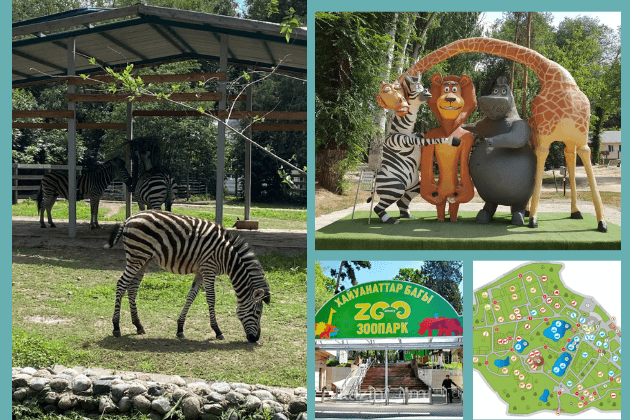 Алматинский зоопарк